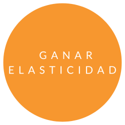 REFORMER (21)